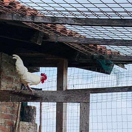 Agriturismo Cascina Smeralda Villa Pontestura Dış mekan fotoğraf